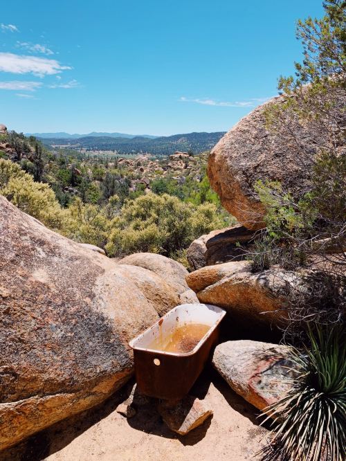 Processed with VSCO with au5 preset