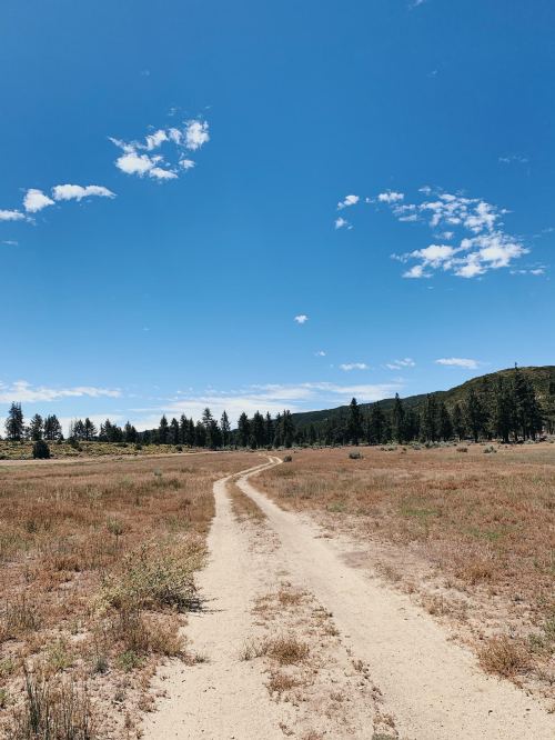 Processed with VSCO with ka1 preset